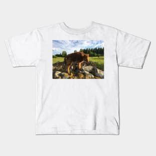 Scottish Highland Cattle Calf 1779 Kids T-Shirt